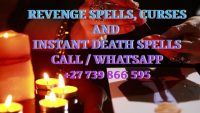 Get vengeance you deserve with the best revenge spells +27739866595