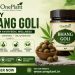Ayurvedic wellness with premium bhang goli (1)