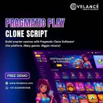 iGaming Scripts Powered by Whitelabel Pragmatic Play Clone Software