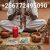 6a6eabfd-22f1-48db-9f5b-29884056c17b